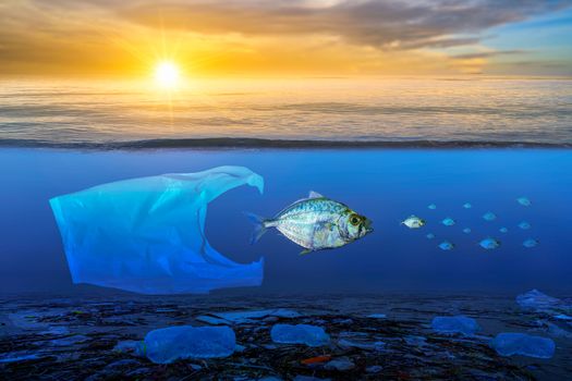 Fish that are approaching dying, floating on the surface, the impact of plastic waste in the sea concepts of nature conservation and the sea