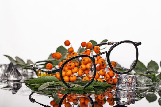 Glasses, bunch of ashberry on aglass background