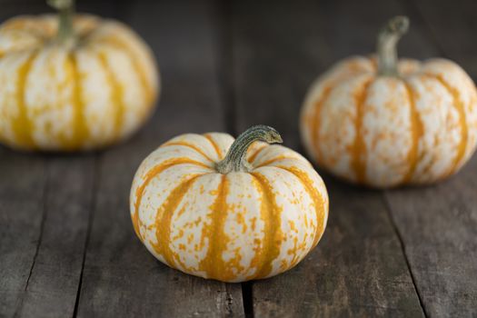 Three striped yellow pumpkins on dark wooden background , Halloween concept