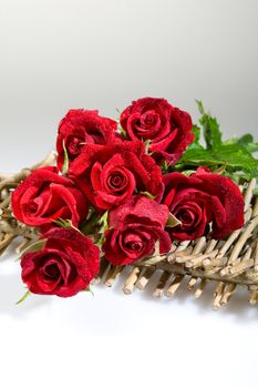 Still life with flowers on a studio background