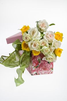 Roses in a gift box on an isolated studio background
