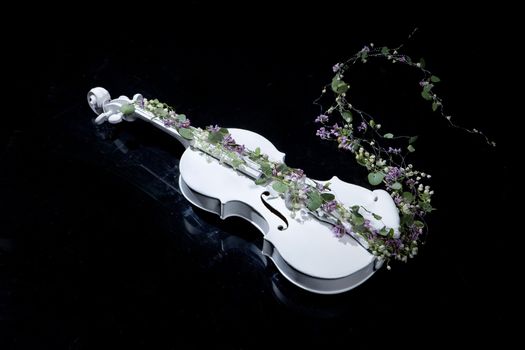 White decorative violin and flower composition