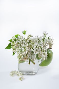 Bouquet with flowers on a studio background