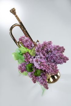 Bouquet with flowers on a studio background