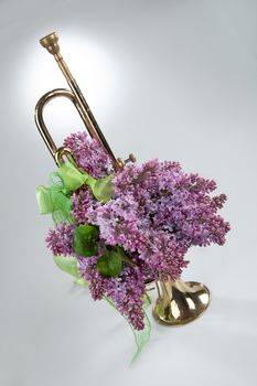 Bouquet with flowers on a studio background