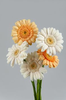 Bouquet with flowers on a studio background