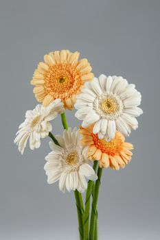 Bouquet with flowers on a studio background