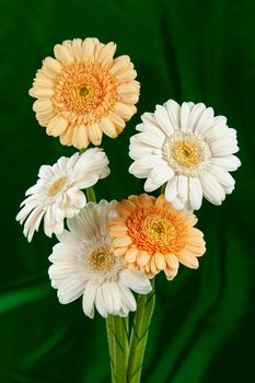 Bouquet with flowers on a studio background