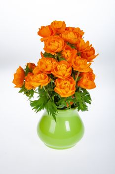 Bouquet with flowers on a studio background