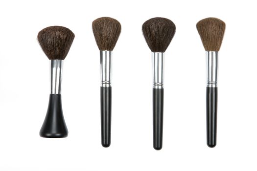 Isolated brushes for make up