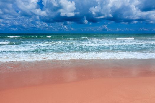 Aerial view of pink beach and blue ocean wave.