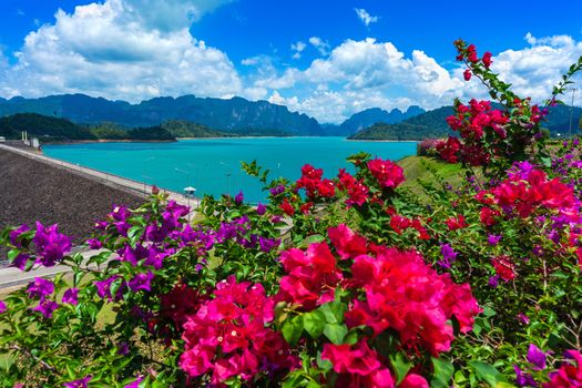 Beautiful flowers in Ratchaprapha Dam at Khao Sok National Park, Surat Thani Province, Thailand.