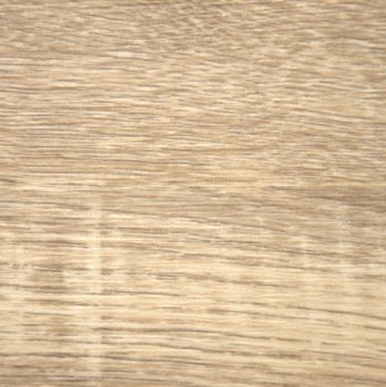 The texture of natural light wood on a cut. Background.