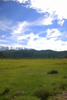 Fertile pasture at the foot of the mountains covered with snow. Altai, Siberia, Russia.