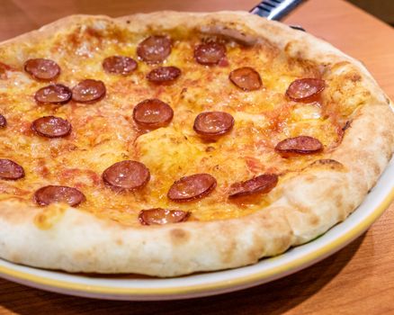 Chorizo sausage pizza with cheese in plate