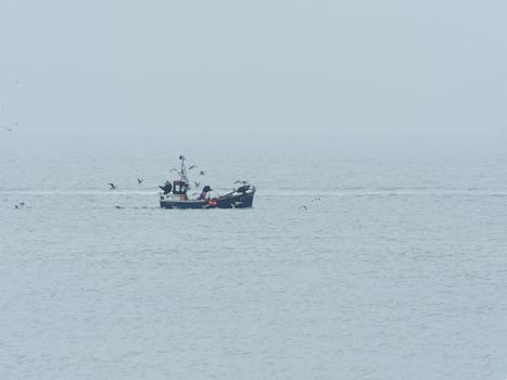 Fishing boat and gulls off the Sussex coast on a misty day.