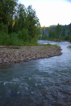 The bend of a mountain river flowing through a forest with rocky shores. Altai, Siberia, Altai.