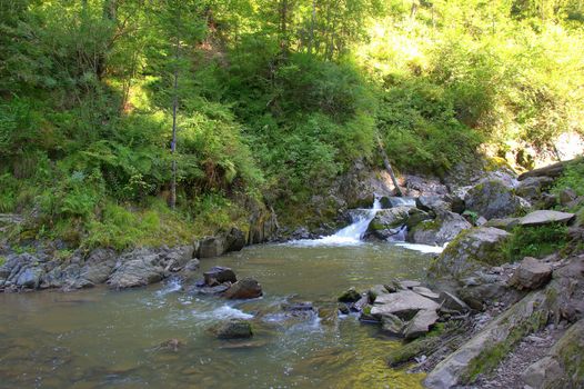 A small waterfall on a mountain river envelopes stones in its channel. Altai, Siberia, Altai.