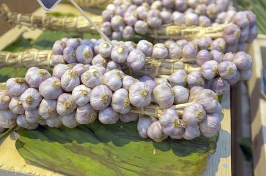 White garlic pile texture. Fresh garlic on market table closeup photo.