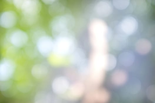 Abstract circular bokeh nature background of light . Blur background
