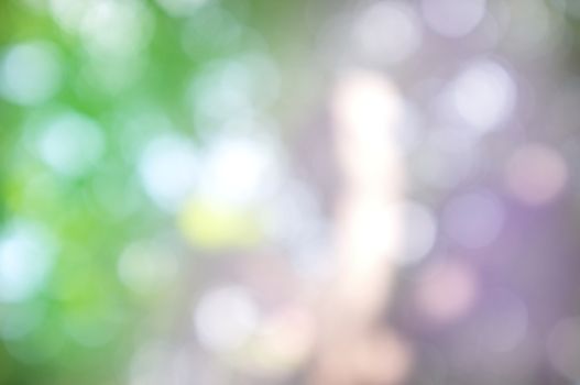 Abstract circular bokeh nature background of light . Blur background