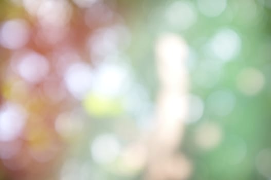 Abstract circular bokeh nature background of light . Blur background