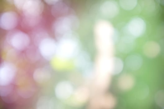 Abstract circular bokeh nature background of light . Blur background