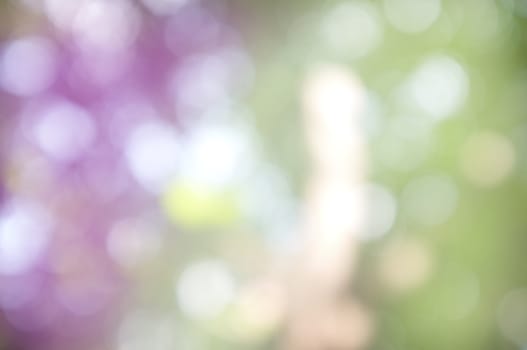 Abstract circular bokeh nature background of light . Blur background