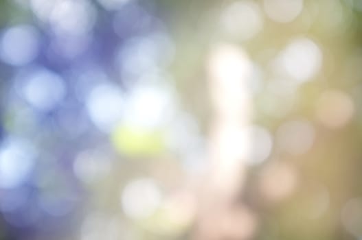 Abstract circular bokeh nature background of light . Blur background