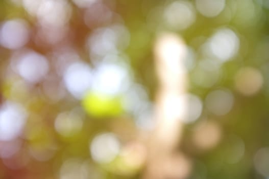 Abstract circular bokeh nature background of light . Blur background