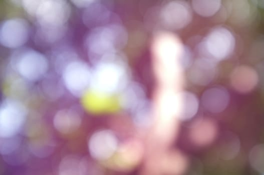 Abstract circular bokeh nature background of light . Blur background