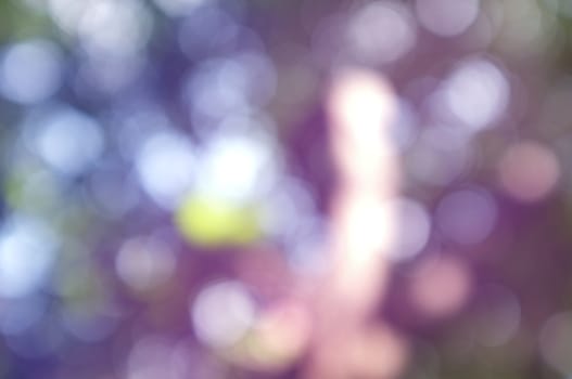 Abstract circular bokeh nature background of light . Blur background