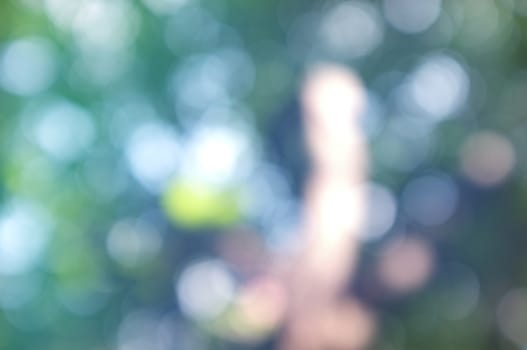 Abstract circular bokeh nature background of light . Blur background