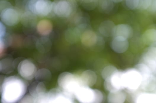 Abstract circular bokeh nature background of light . Blur background