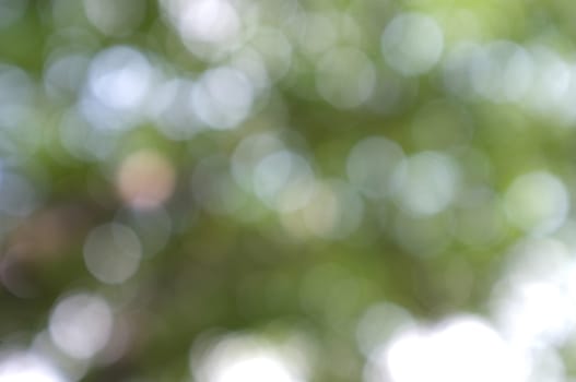 Abstract circular bokeh nature background of light . Blur background