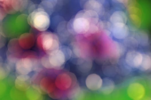 Abstract circular bokeh nature background of light . Blur background