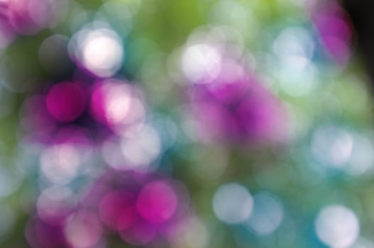 Abstract circular bokeh nature background of light . Blur background