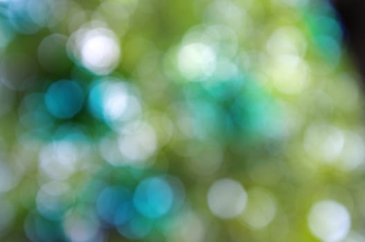 Abstract circular bokeh nature background of light . Blur background