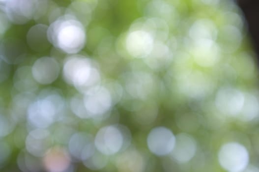 Abstract circular bokeh nature background of light . Blur background