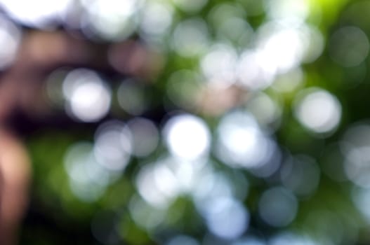 Abstract circular bokeh nature background of light . Blur background