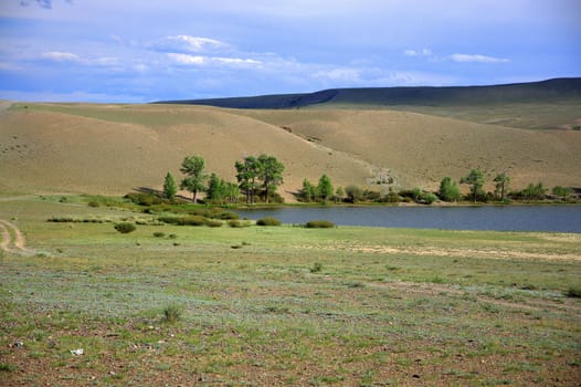A fragment of a lake in the intermontane hollow in the steppe. Altai, Siberia, Russia.