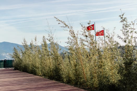 a wide green park scene from a aegean coast - turkish flags. photo has taken from izmir/turkey.