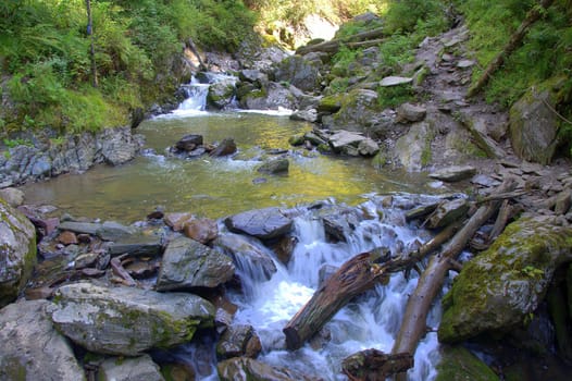 A cascade of waterfalls on a mountain river, enveloping stones and holy trees on its way. Altai, Siberia, Russia.