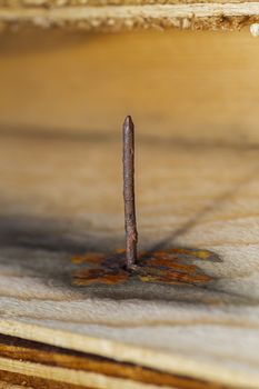 rusted nail sticking out of a wood plank