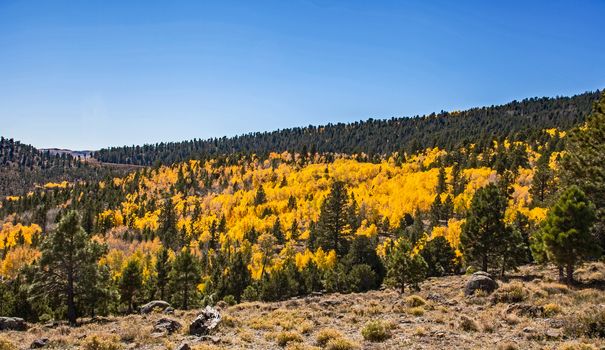 Fall landscape on Scenic Byway 12, Utah, USA