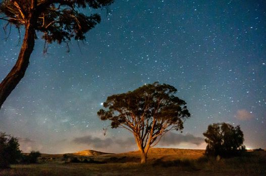 Romantic landscape under stars night sky