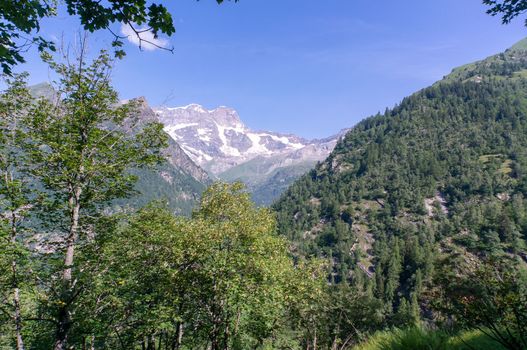 Trekking in Alps