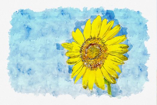 Watercolor of Sunflower field in blue sky.