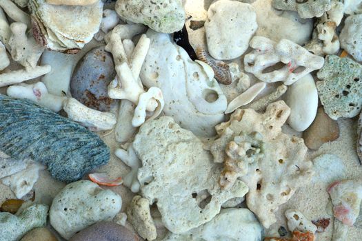 White broken dead coral beach nature background in thailand sea, Satun Province.