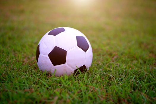 Soccer football at green field in stadium before the match.